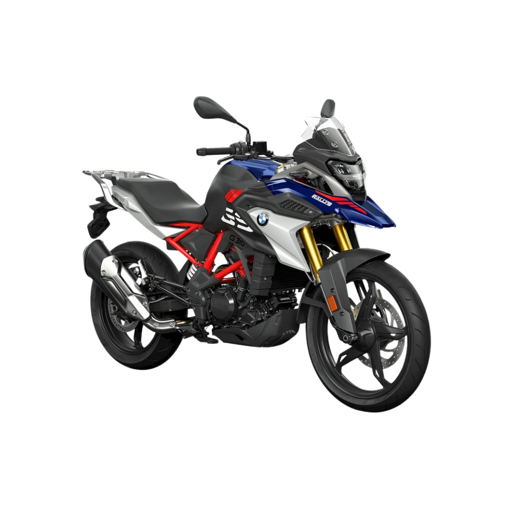G 310 GS/R